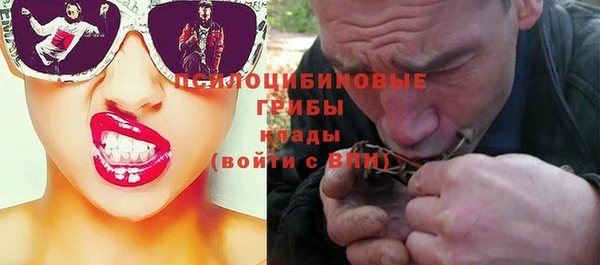 2c-b Чердынь