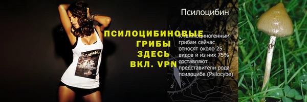 скорость Шадринск