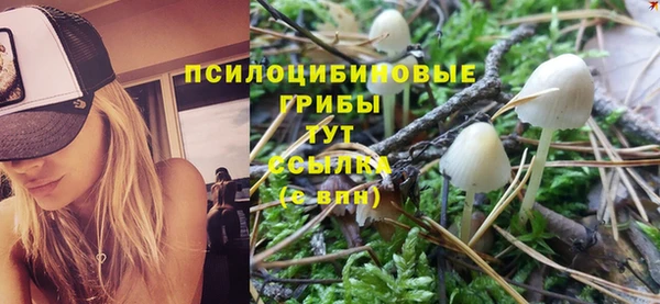 скорость Шадринск