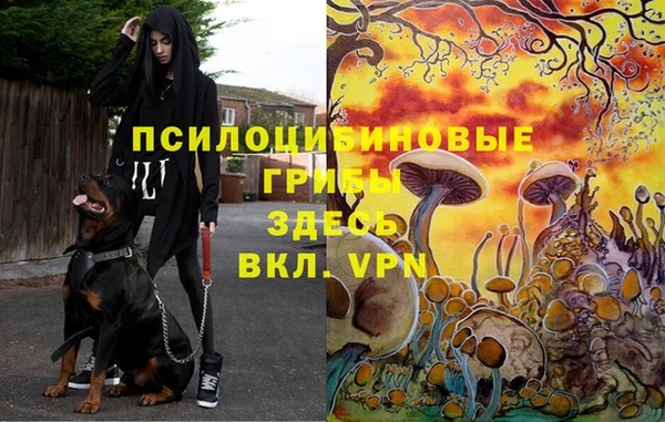 mix Шарыпово