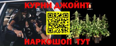 спиды Можга