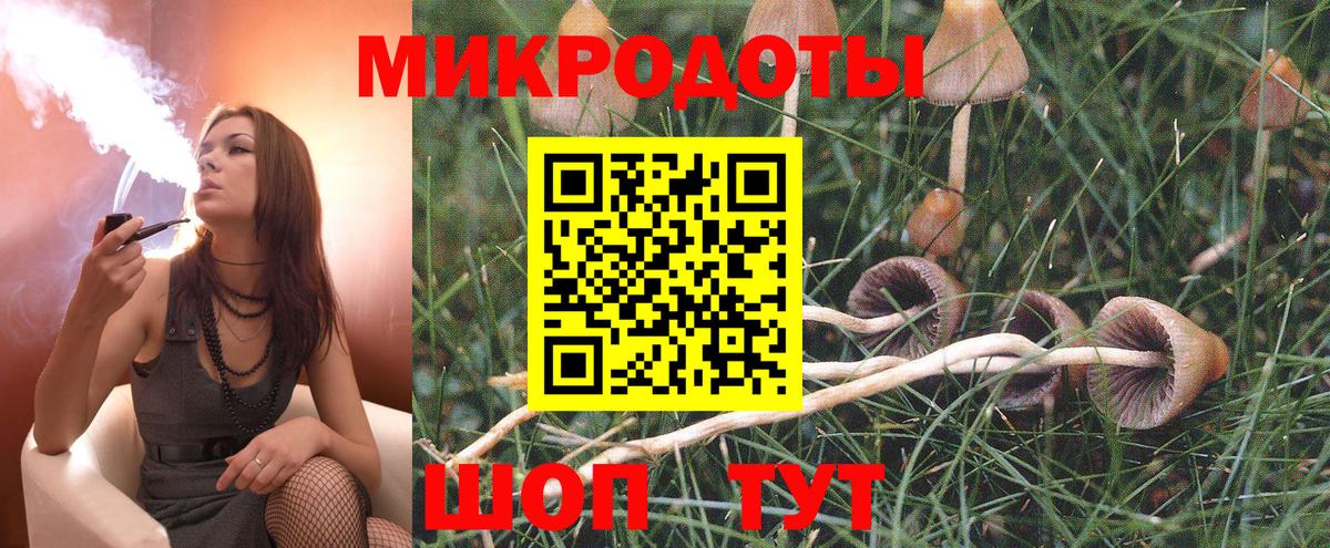 Псилоцибиновые грибы GOLDEN TEACHER Уфа