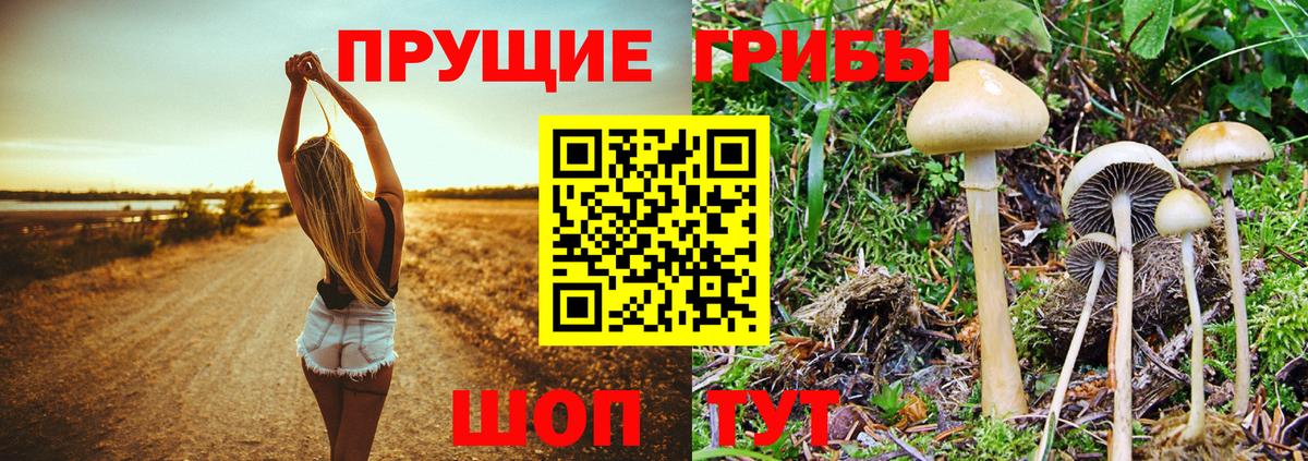 Уфа  Псилоцибиновые грибы мухоморы  Псилоцибиновые грибы Psilocybe  Вход с VPN 